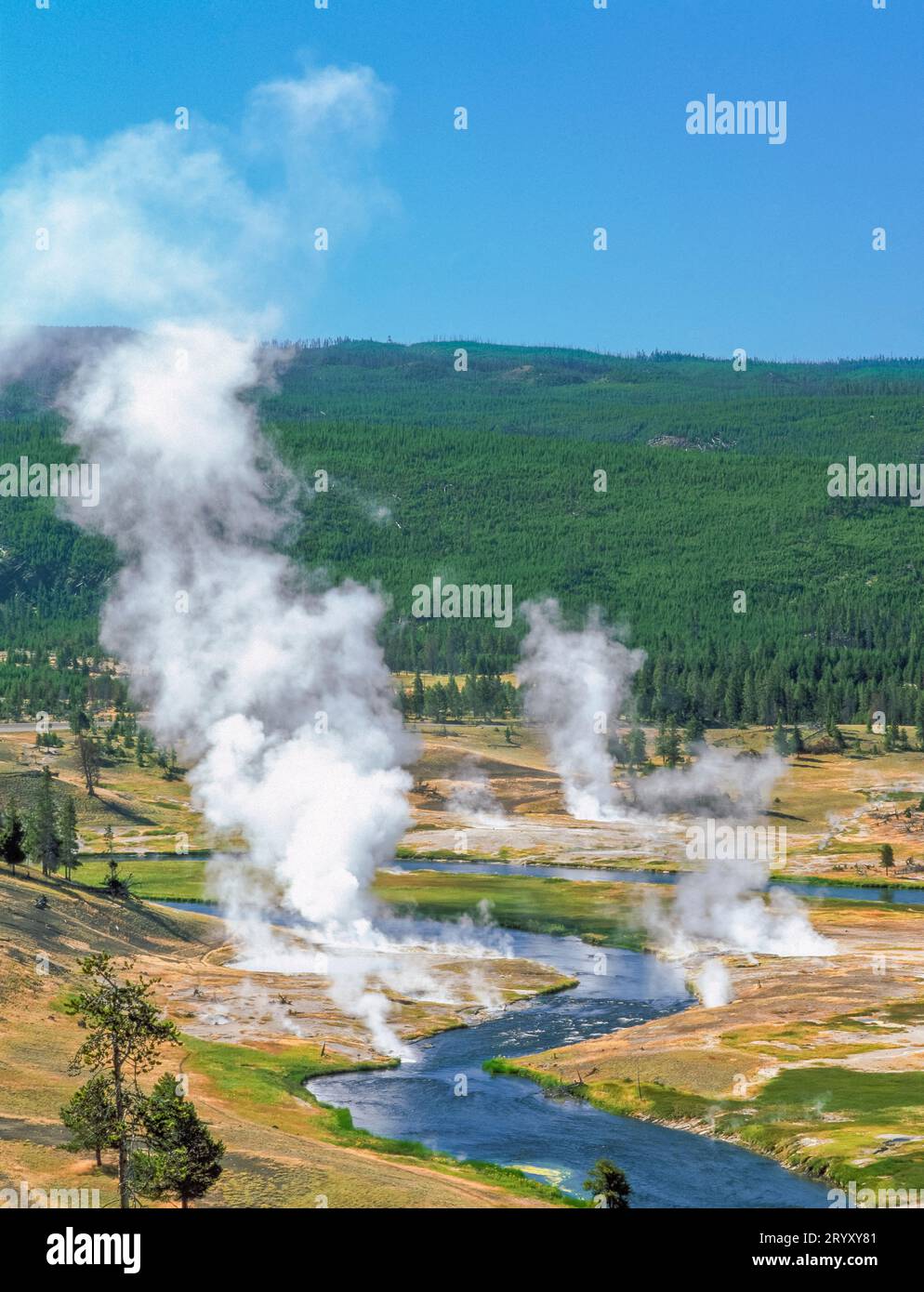 steam rising from hot springs along the firehole river in yellowstone national park, wyoming Stock Photo