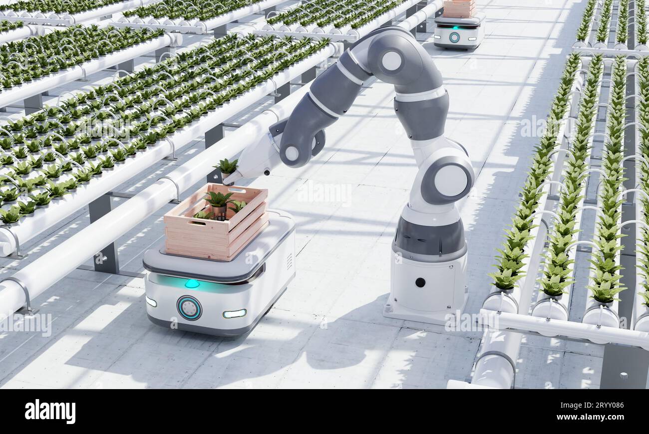 AGV robot courier cars transporting hydroponics vegetable crates to stock in warehouse for delivery to customers in greenhouse d Stock Photo