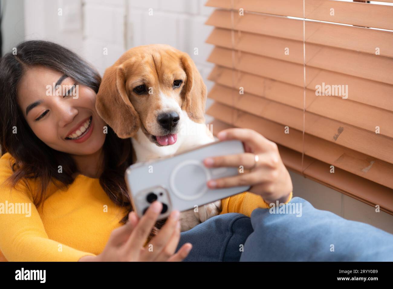 Beagle dog joining the owner's selfie on the sofa in the living room of