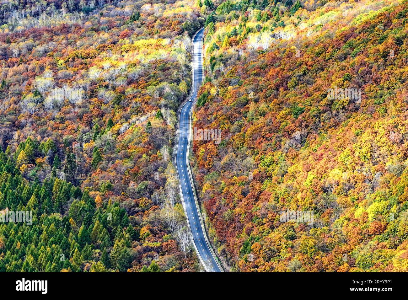 Lesser Khingan Lesser khingan scenery hi-res stock photography and images - Alamy