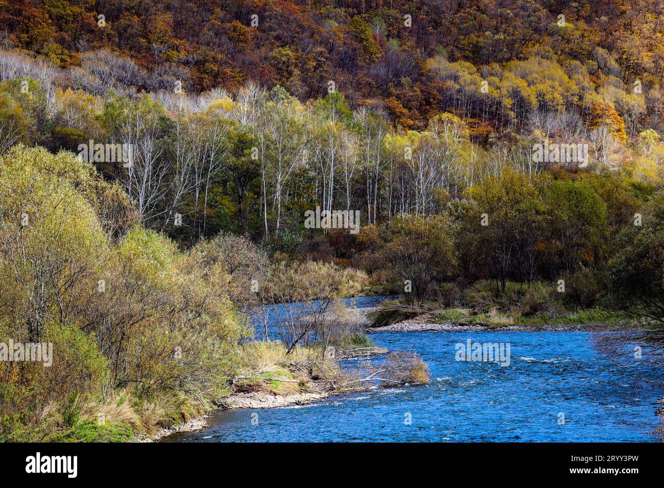 Lesser Khingan Lesser khingan scenery hi-res stock photography and images - Alamy