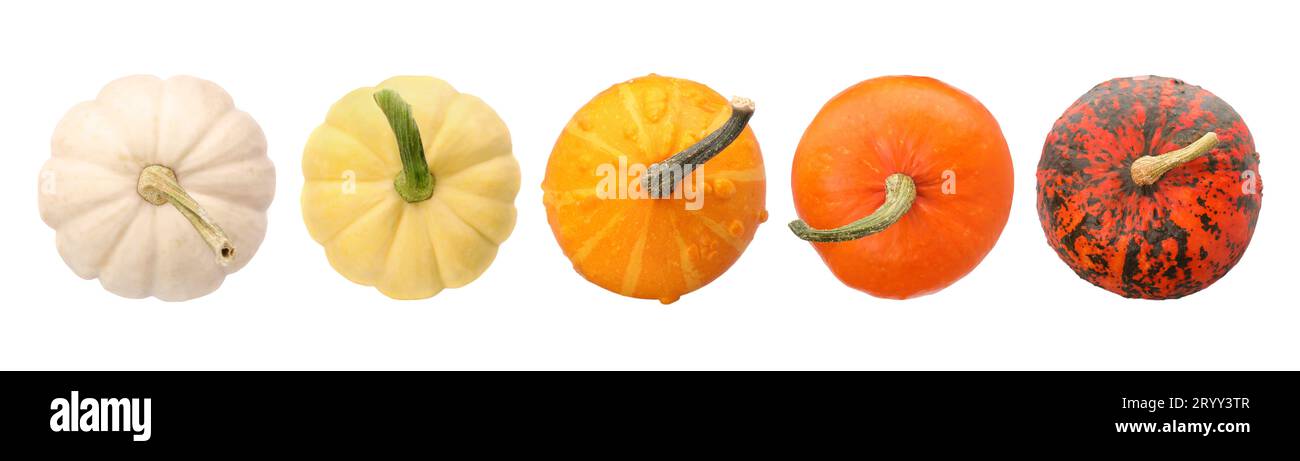 Set of different pumpkins isolated on white, top view Stock Photo - Alamy