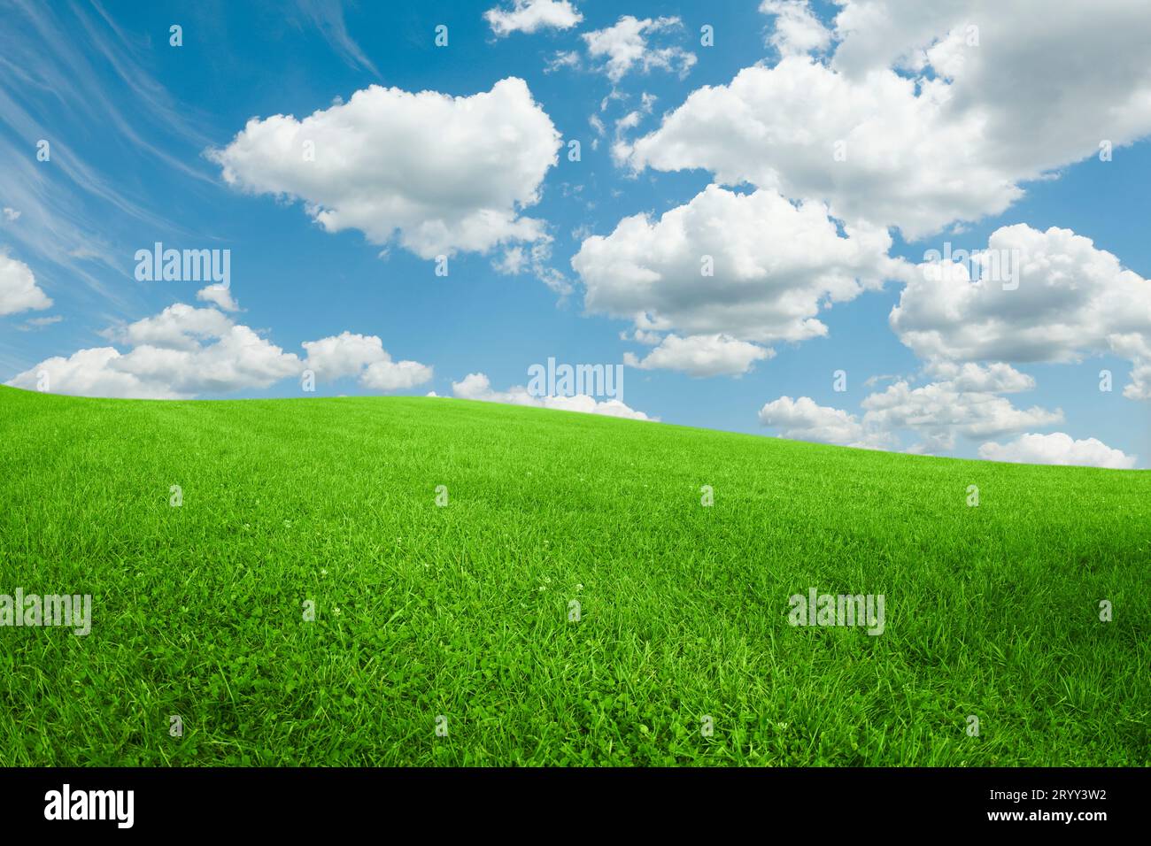 Lush green grass under bright blue sky with fluffy clouds Stock Photo ...