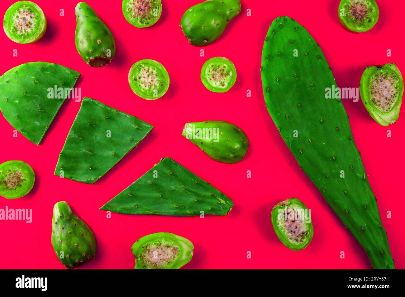 Cactus leaves and cactus fruits tuna on pink background. Creative