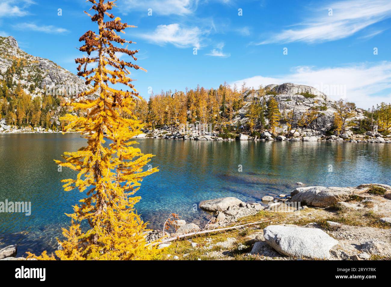 Larch trees enchantment lakes hi-res stock photography and images - Alamy