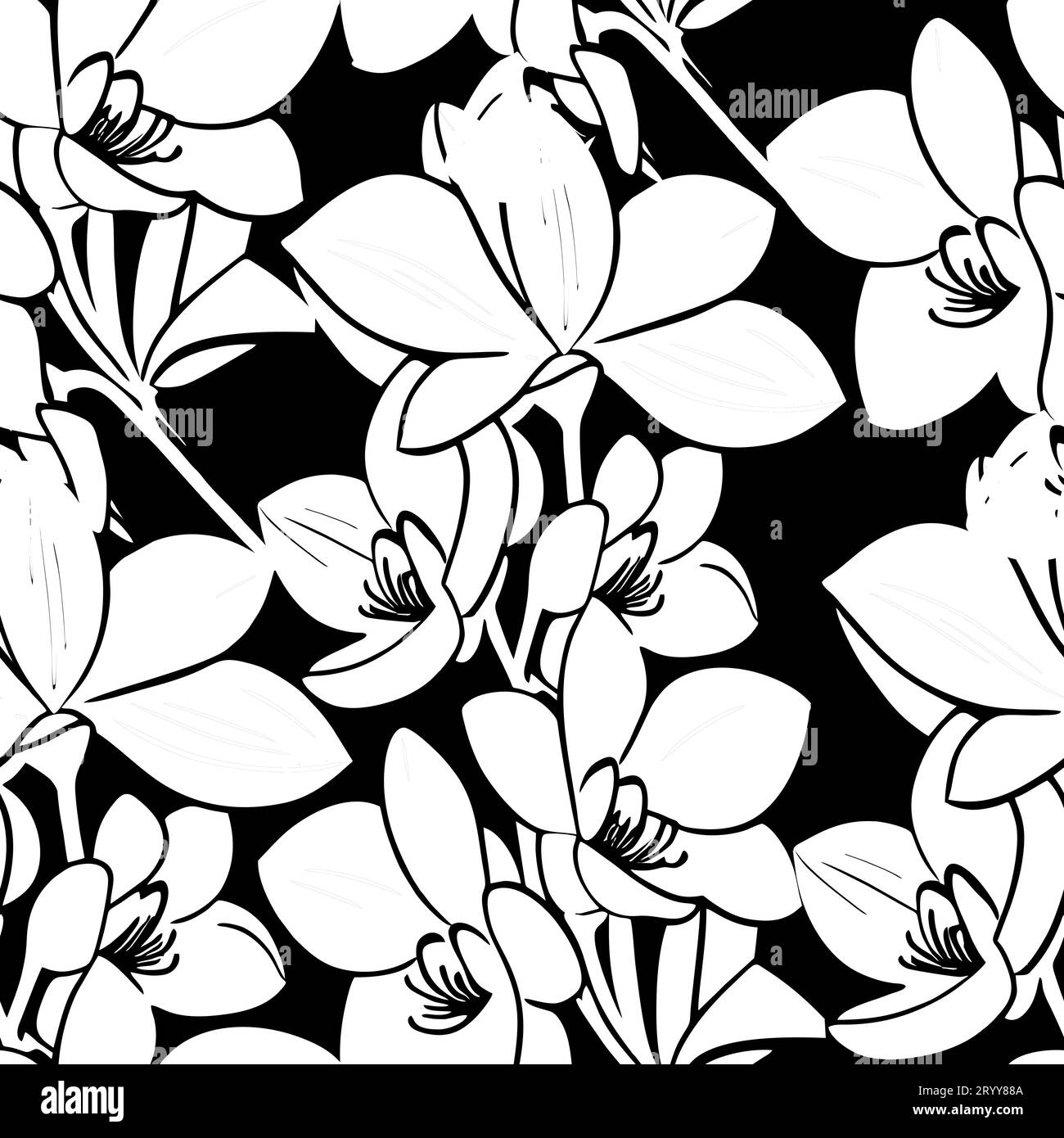Seamless black white floral pattern Cut Out Stock Images & Pictures - Alamy