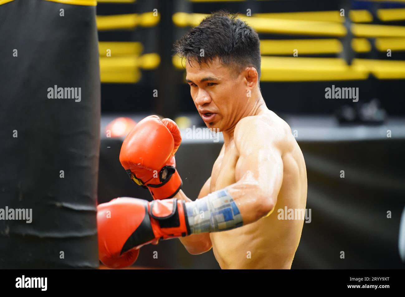 Muay Thai, The martial art of Thailand, Boxer practicing punching with