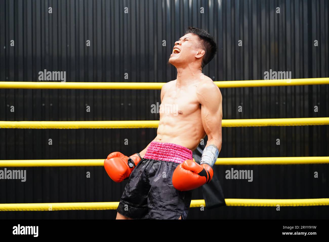 Muay Thai, The martial art of Thailand, Boxer's happiness when he wins
