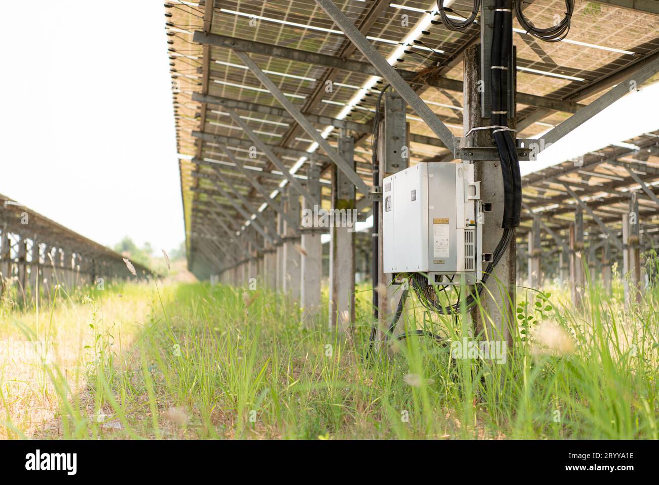 The field of solar panels with an energy small storage located in the