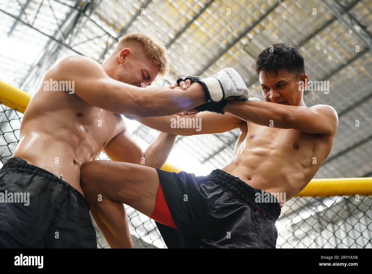 Mixed Martial Art, The power of a knee into the opponent's abdomen