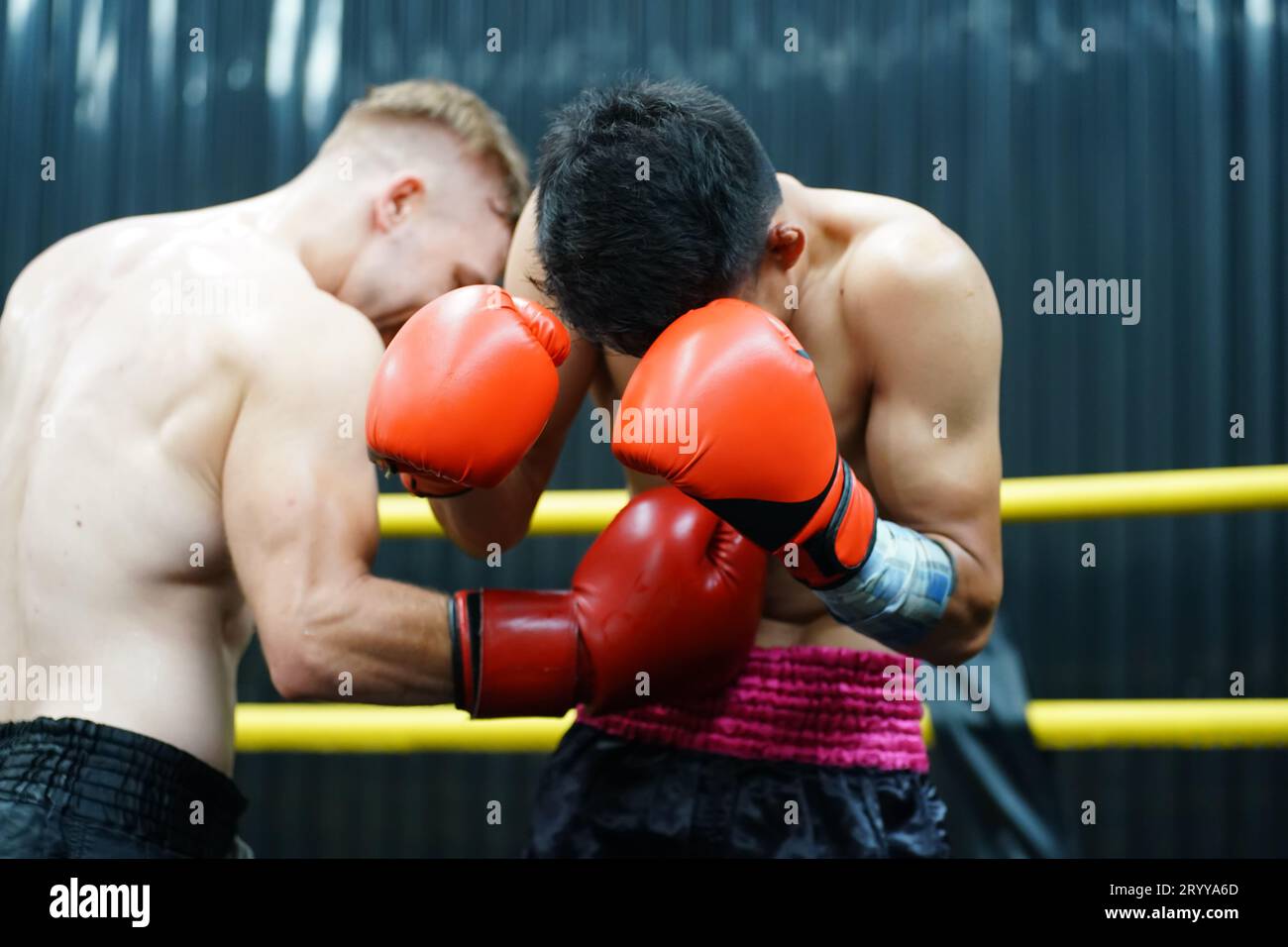 Muay Thai, The martial art of Thailand, The power of the fist that