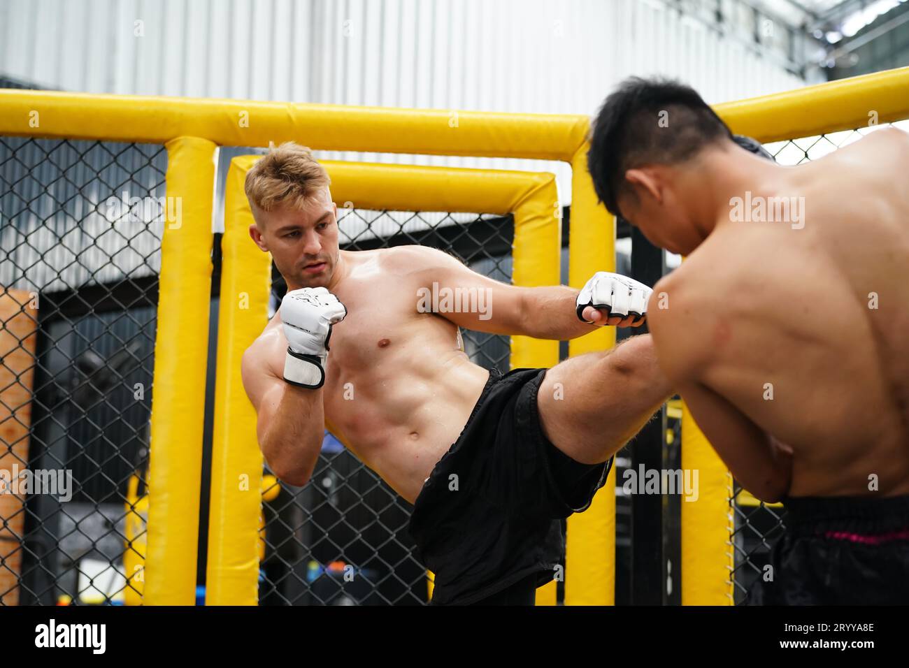 Mixed Martial Art, A boxer with the weapon of kick the neck the