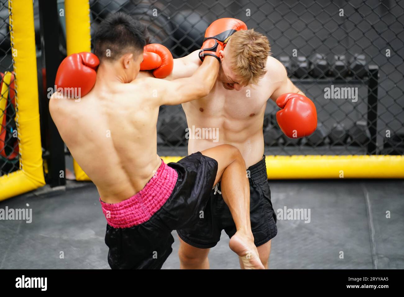 Muay Thai, The martial art of Thailand, The power of a knee into the