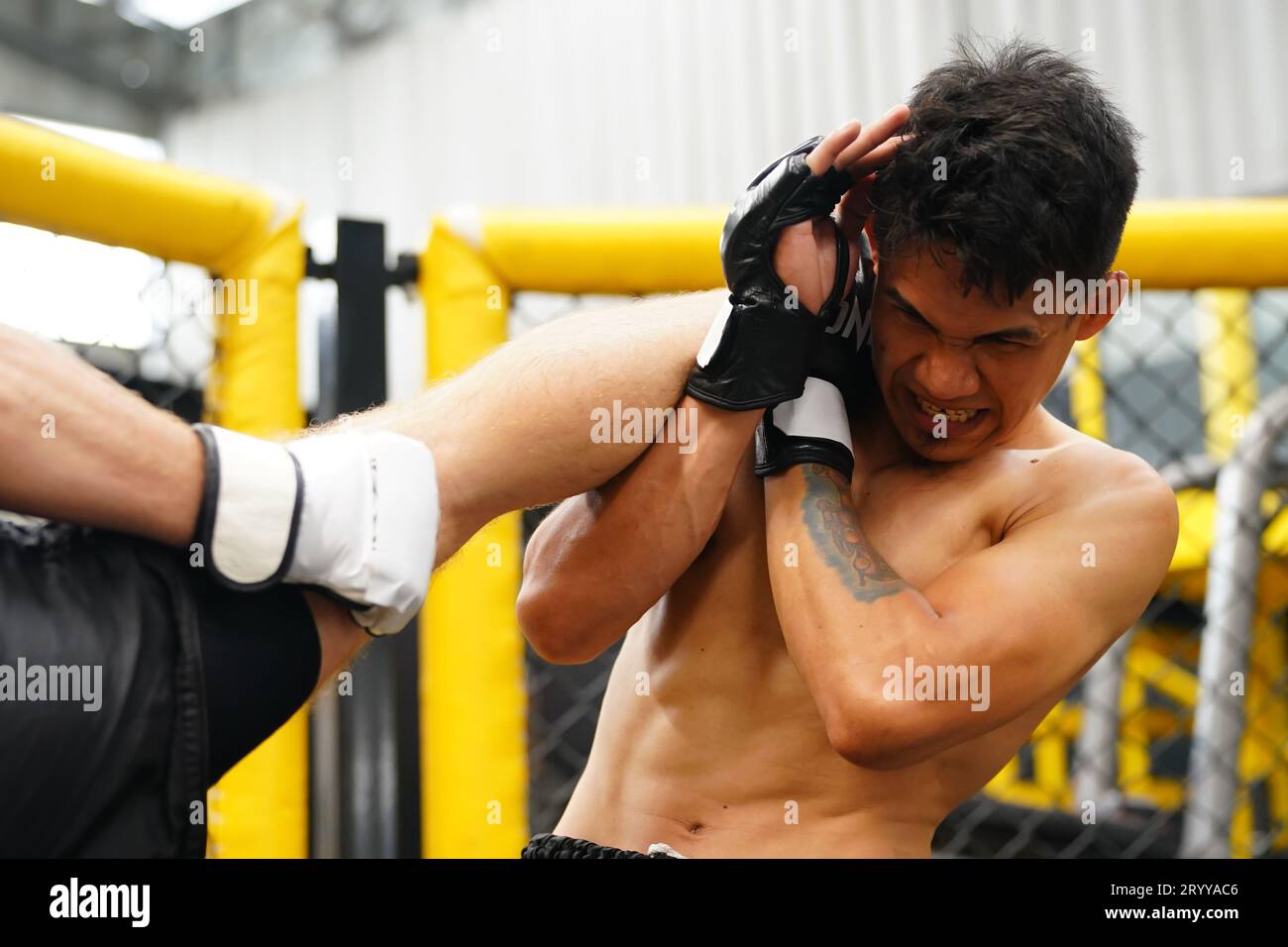 Mixed Martial Art, A boxer with the weapon of kick the neck the