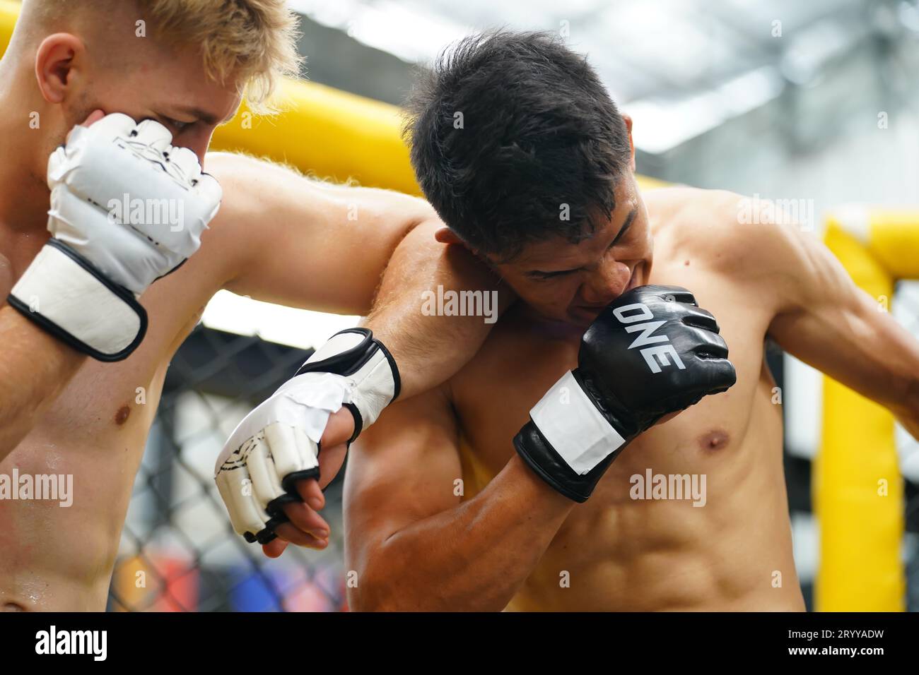 Mixed Martial Art, A powerful elbow that hits the opponent's face or