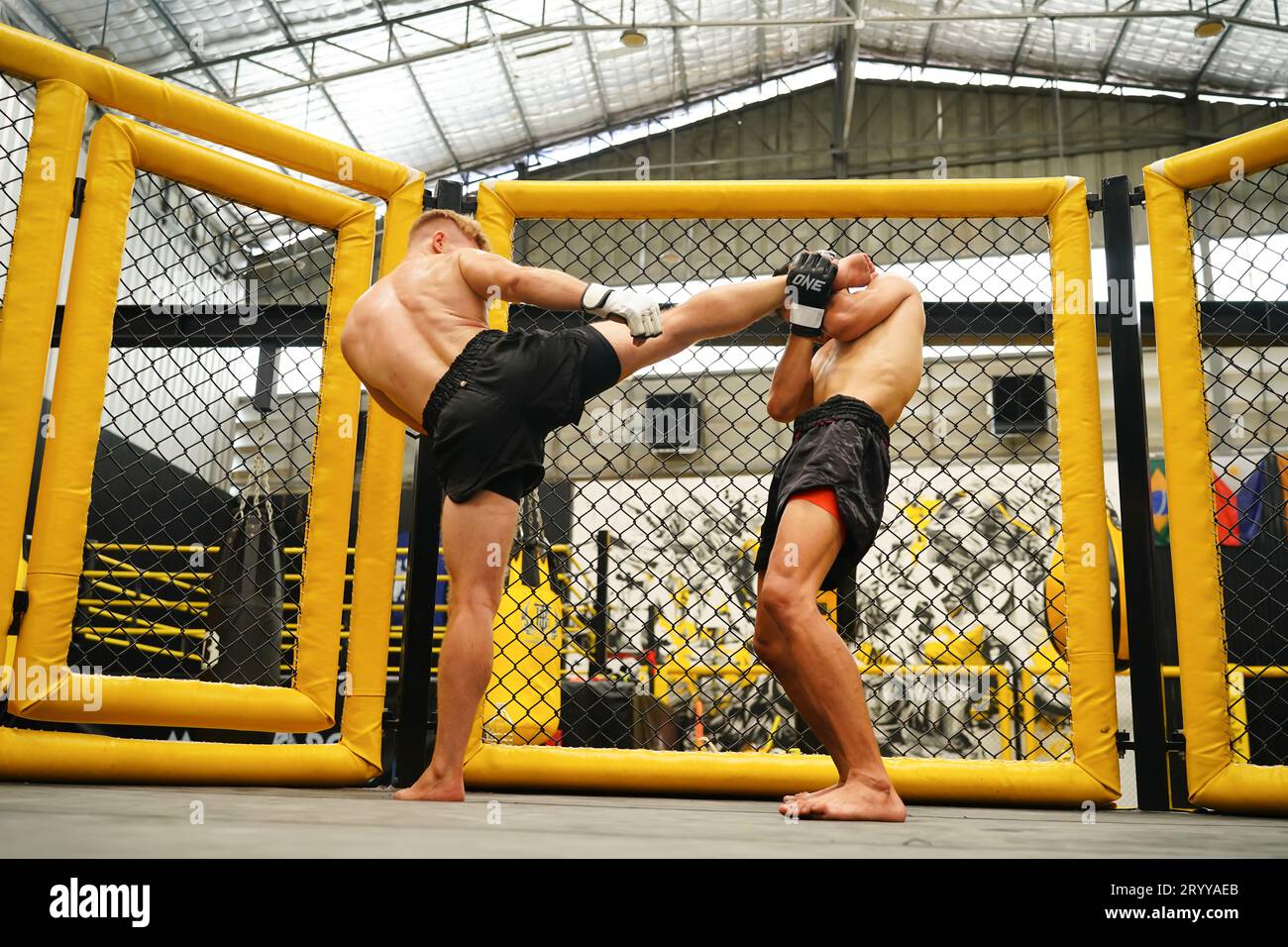 Mixed Martial Art, A boxer with the weapon of kick the neck the