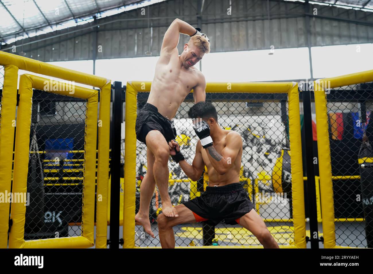 Mixed Martial Art, Jumping elbow kick into the opponent's face If it