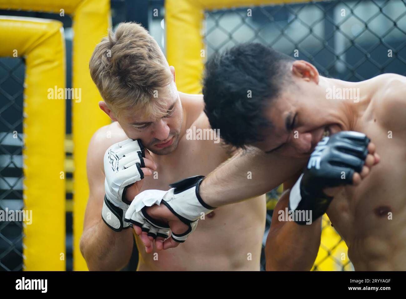 Mixed Martial Art, A powerful elbow that hits the opponent's face or