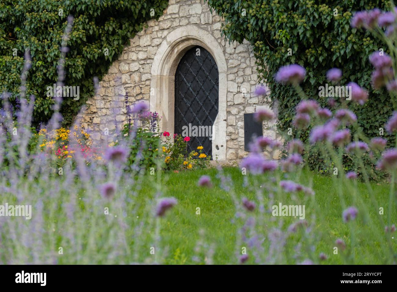 Wine cellar built from stones with violet flowers on foreground in Wawel Castle Krakow, Poland