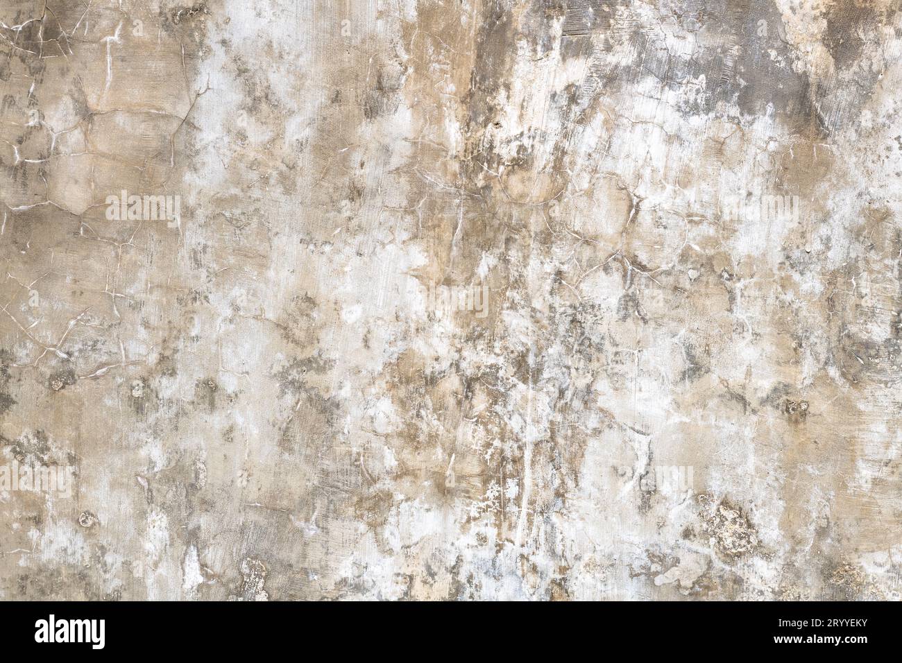 Grunge wall texture. High resolution vintage background. Stock Photo