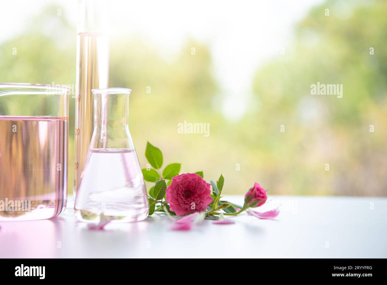 Rose spa treatments on white wooden table. Healthcare and body therapy massage relaxation concept. Beauty and Healthy theme. Pur Stock Photo