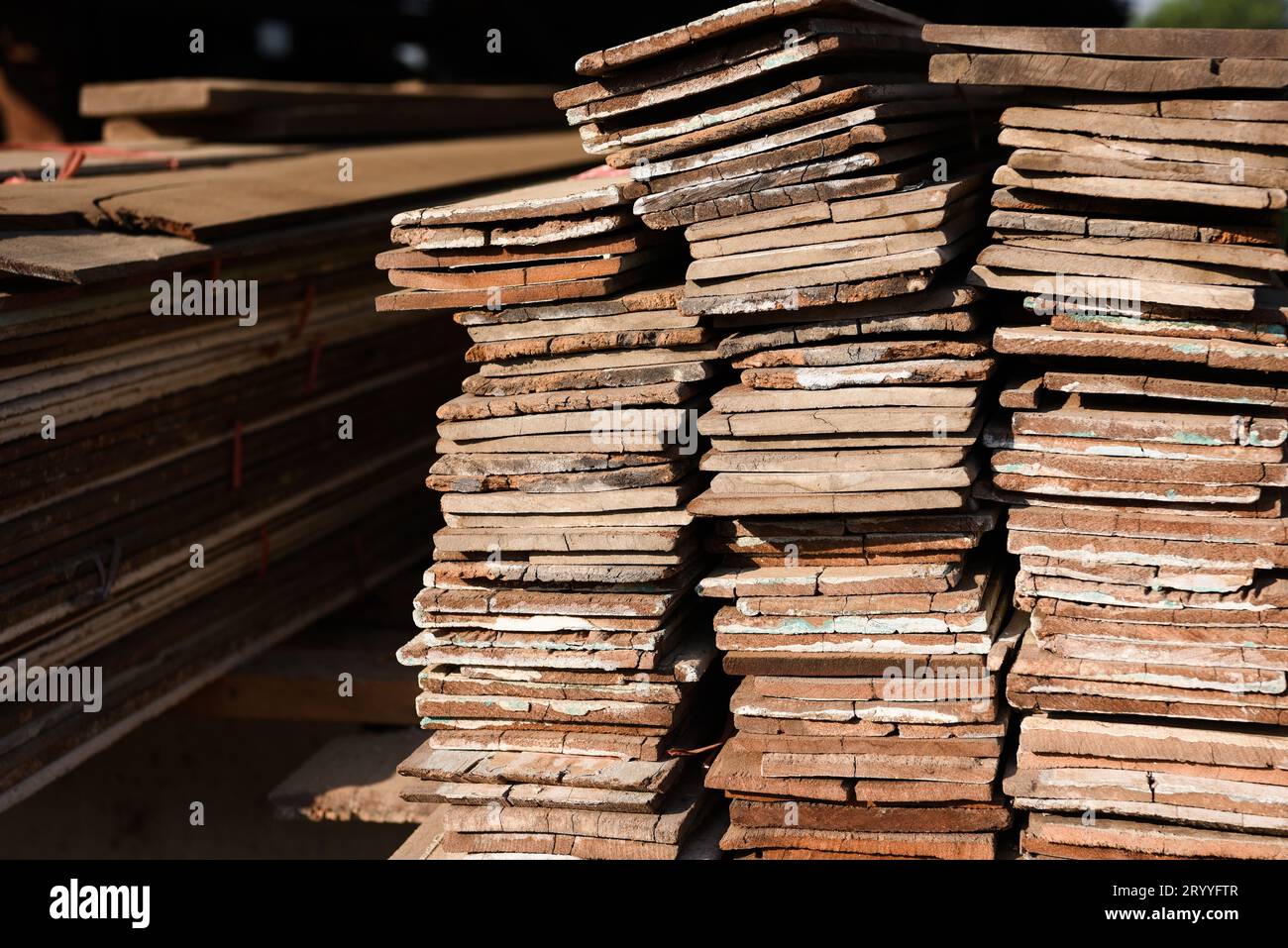 Small Rain Tree Wood Cutting at Timber Mill Near Me।Lumber Mill Cutting ... Wood mill near me