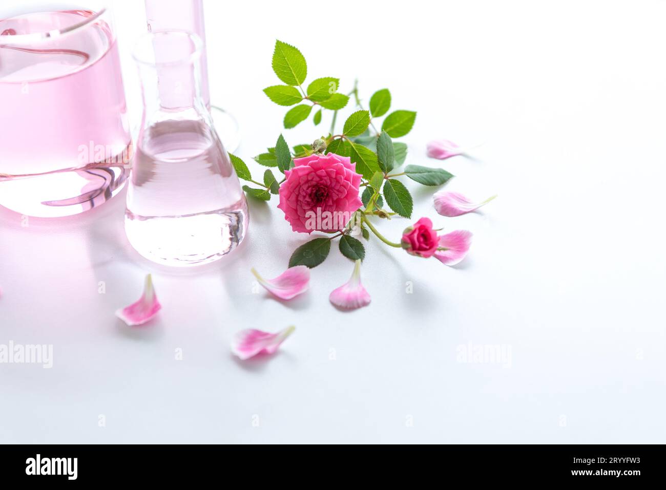 Rose spa treatments on white wooden table. Healthcare and body therapy massage relaxation concept. Beauty and Healthy theme. Pur Stock Photo