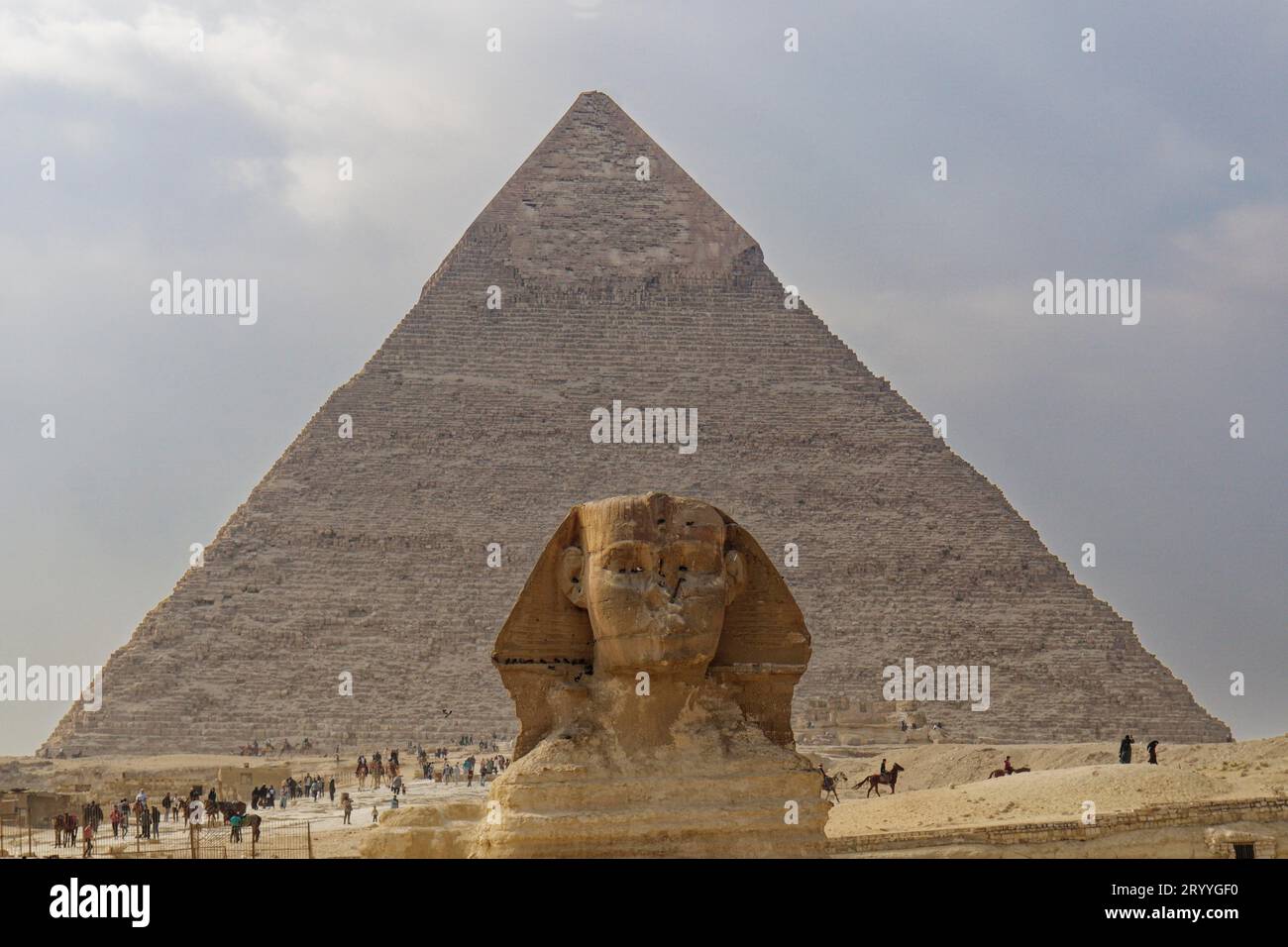 Head of the Great Sphinx in front of the Pyramid of Khafre, desert ...