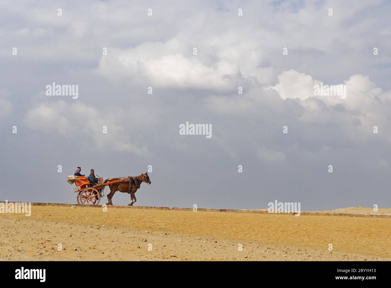 Twowheeled horsedrawn carriage with tourist driving over road in the