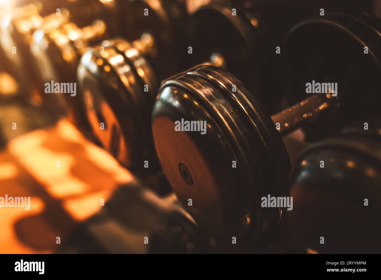 Black steel dumbbell set. Close up of dumbbells on rack in sport fitness center background. Workout training and fitness gym con Stock Photo
