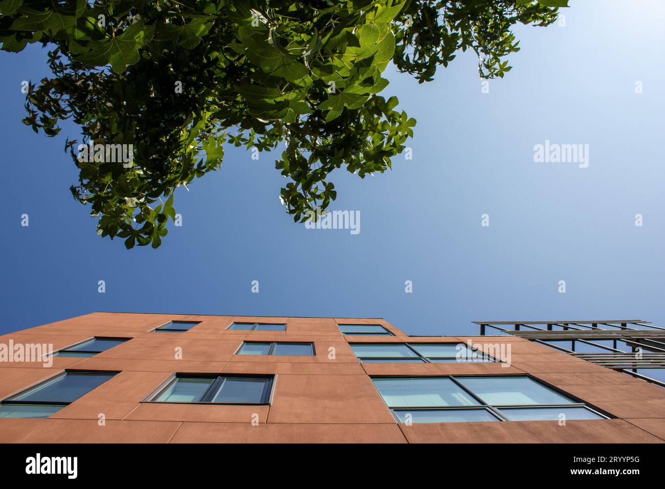 upward shot of a brown building and a tree Stock Photo