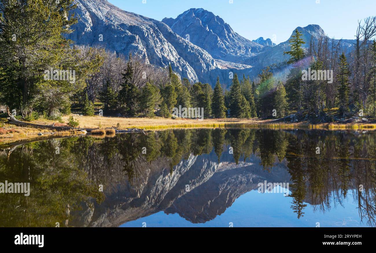 Plant lake mountain nature hi-res stock photography and images - Alamy