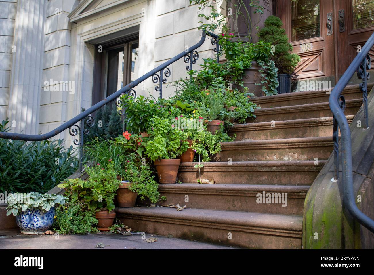 brooklyn brownstone plant vases on the side old Stock Photo