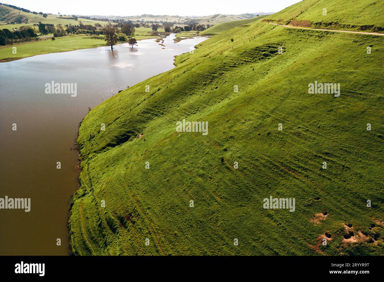 A view of grass covered hills on the edge of Lake Eildon. Stock Photo
