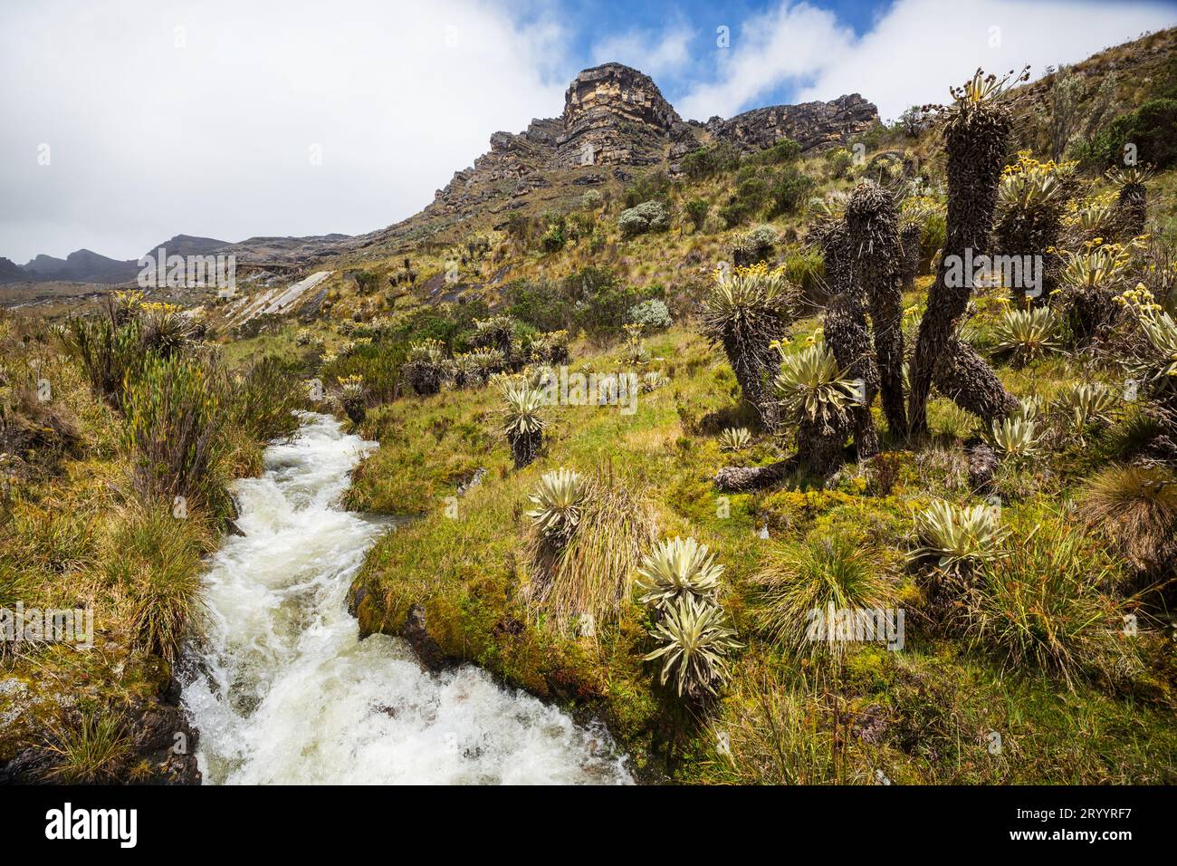 Beautiful morning scenery andes hi-res stock photography and images - Alamy