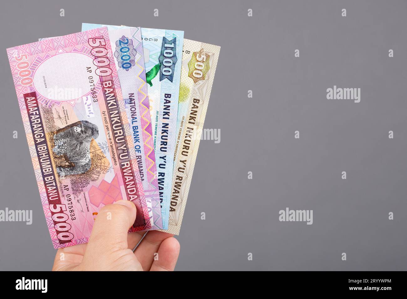 Rwandan money in the hand on a gray background Stock Photo - Alamy