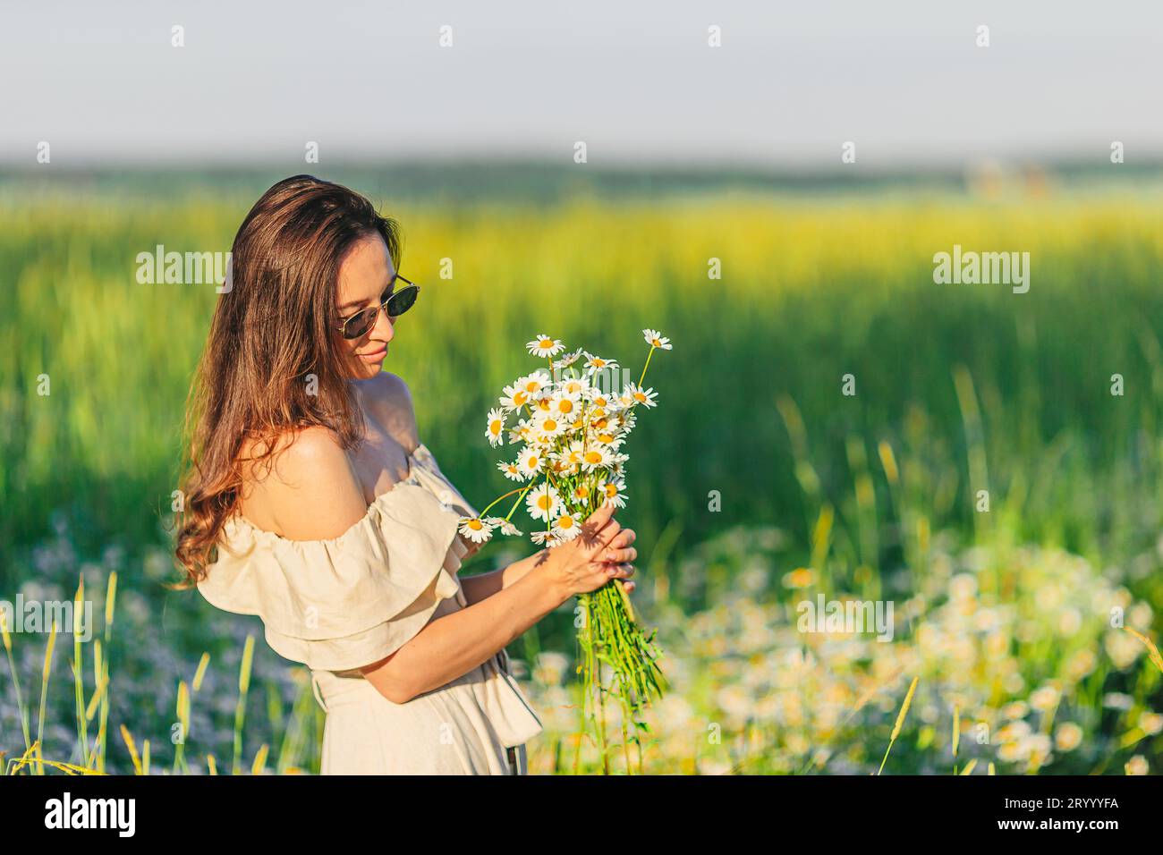 Chamomile harmony hi-res stock photography and images - Alamy