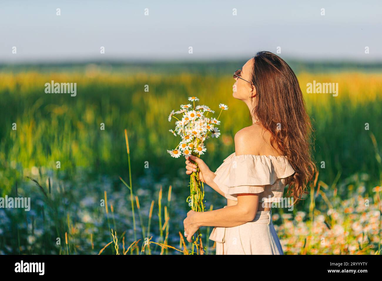 Chamomile harmony hi-res stock photography and images - Alamy