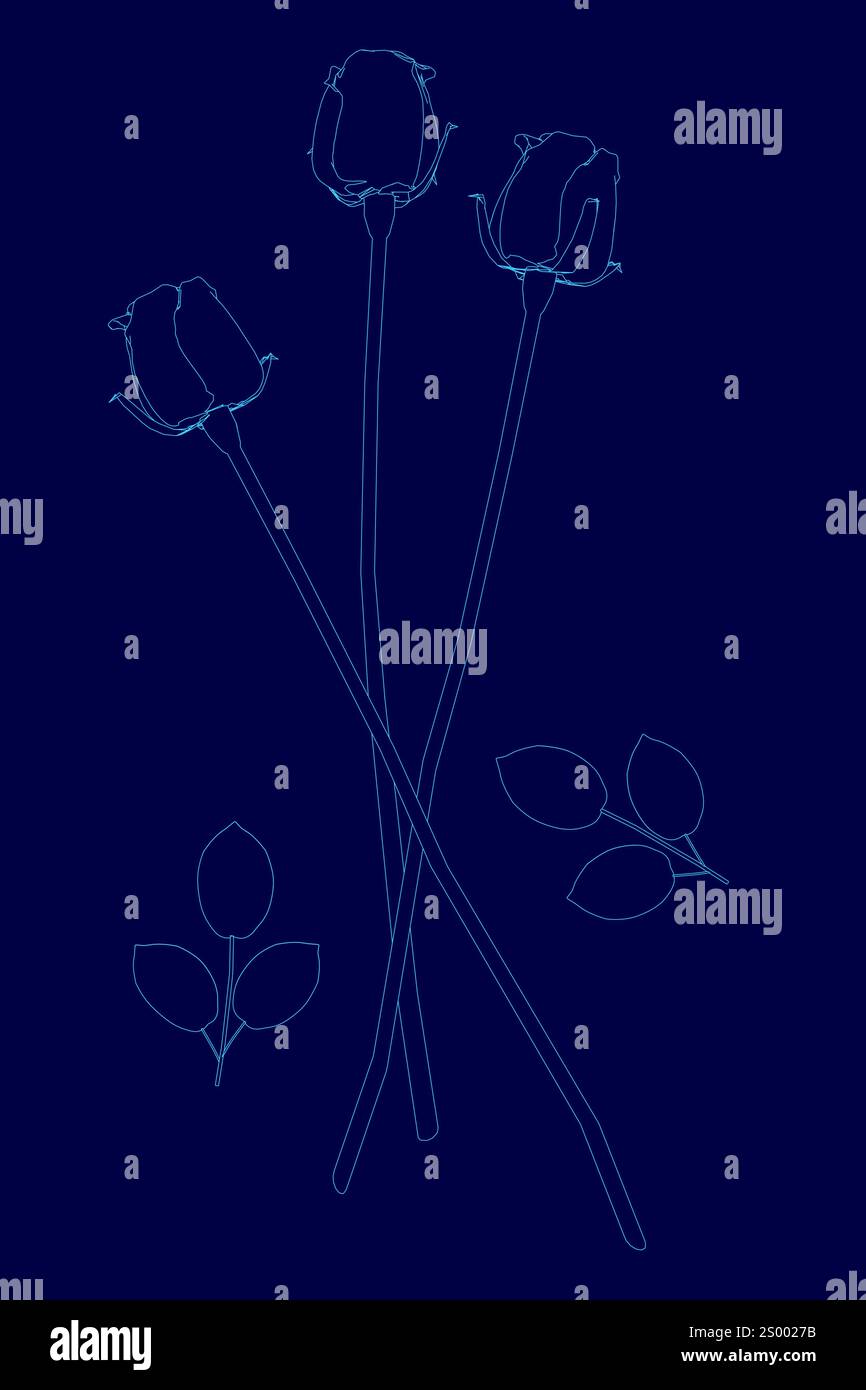 Single rose with petal out hi-res stock photography and images - Page 5 -  Alamy, image size:866x1390