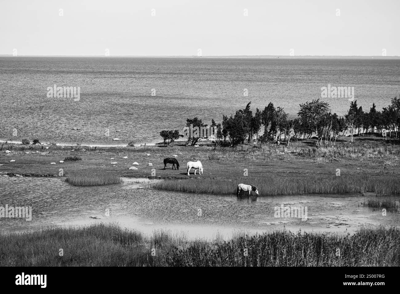Dark island in sea Black and White Stock Photos & Images - Alamy