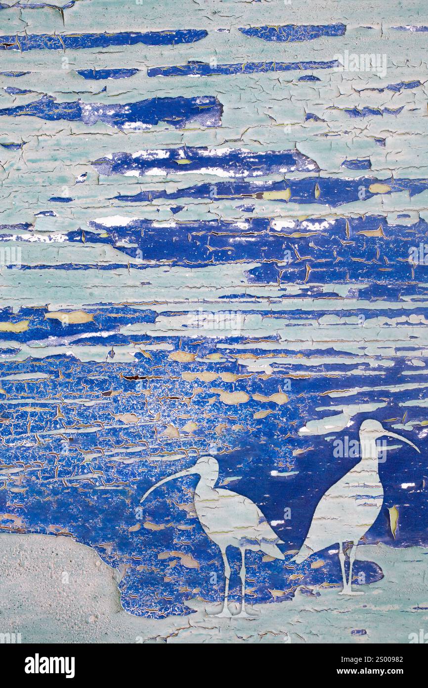 Curlew waterworld of weathered paint Stock Photo