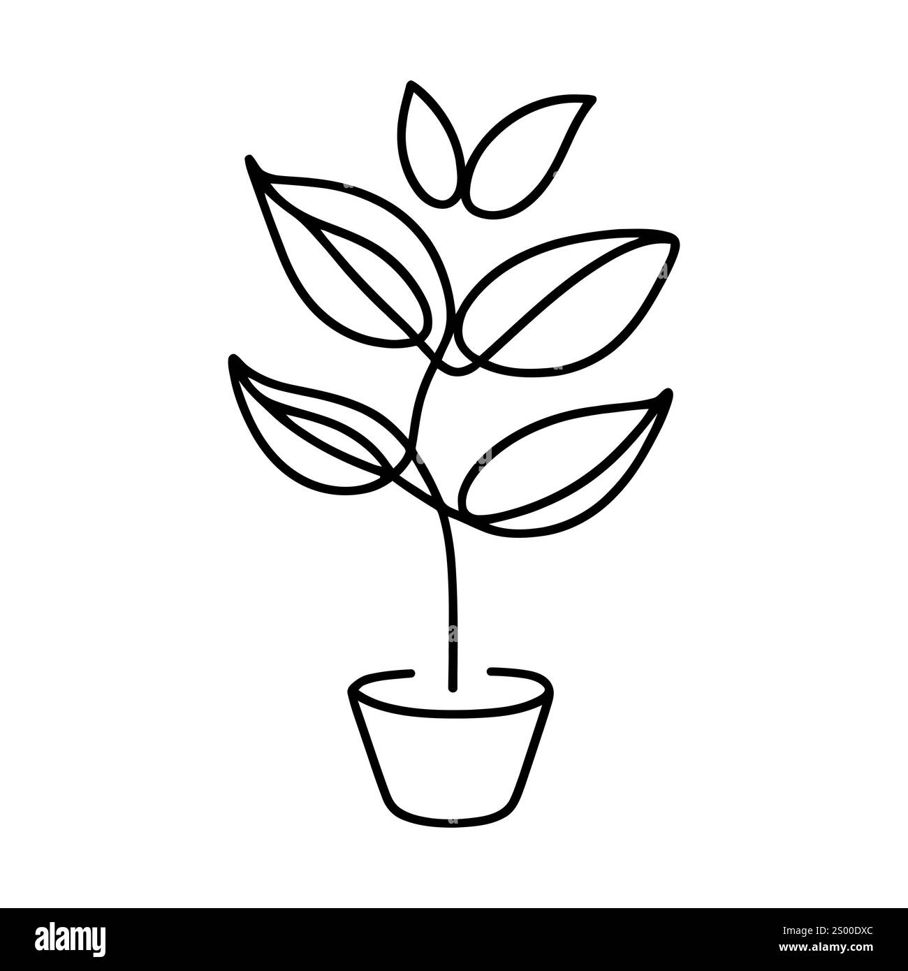 Linear icon of a plant in a pot . Black and white image of a hand-drawn ...