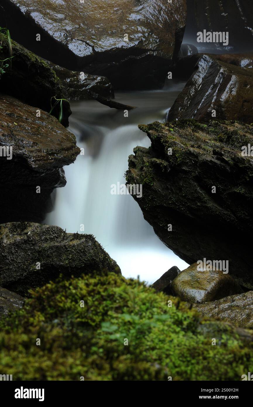 Melincourt Brook just below Melincourt Falls. Stock Photo