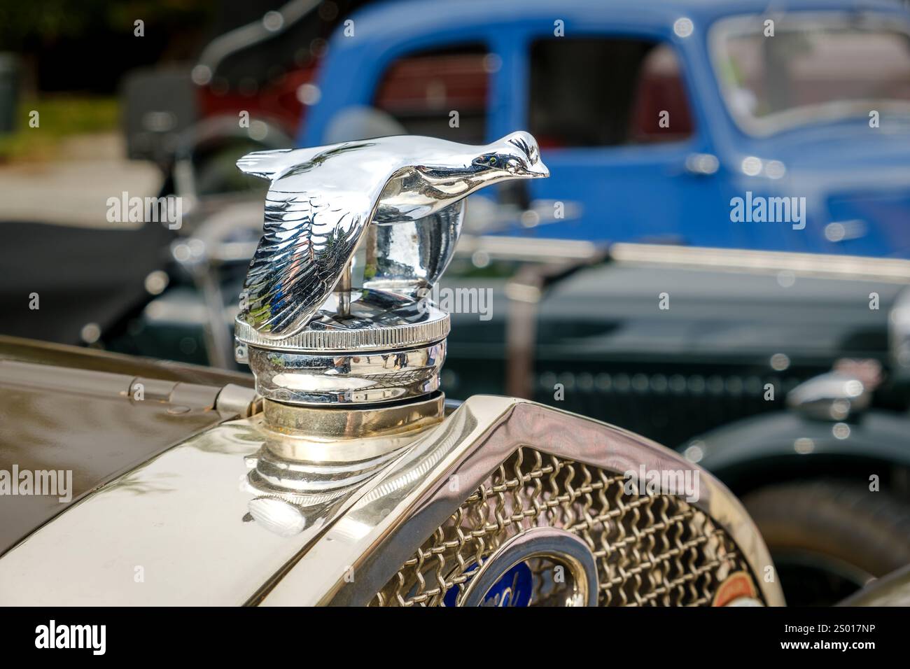 Flying bird radiator cap vintage hi res stock photography and images Alamy