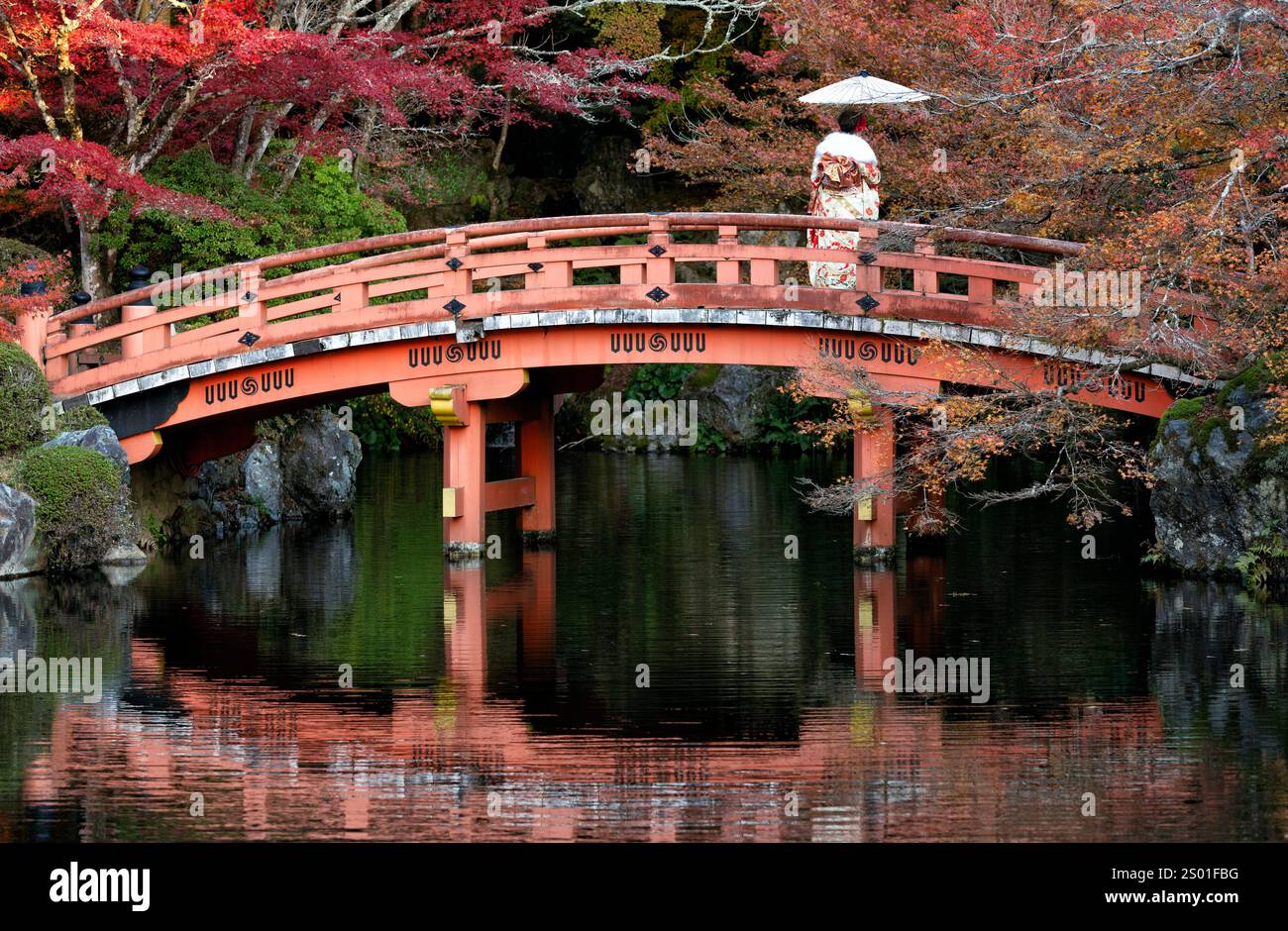 Asian traveler on Kimono traditional japanese dress walk on the red wooded bridge in autumn park on Kyoto city, Japan Stock Photo