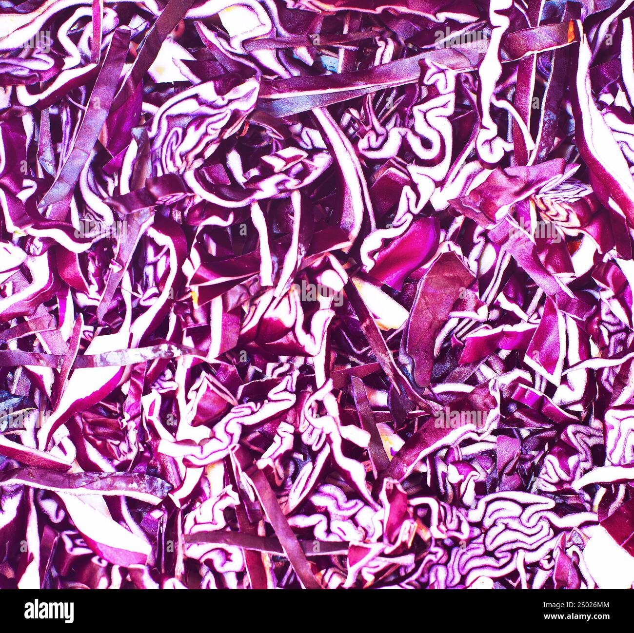 finely chopped Red cabbage, close up Stock Photo