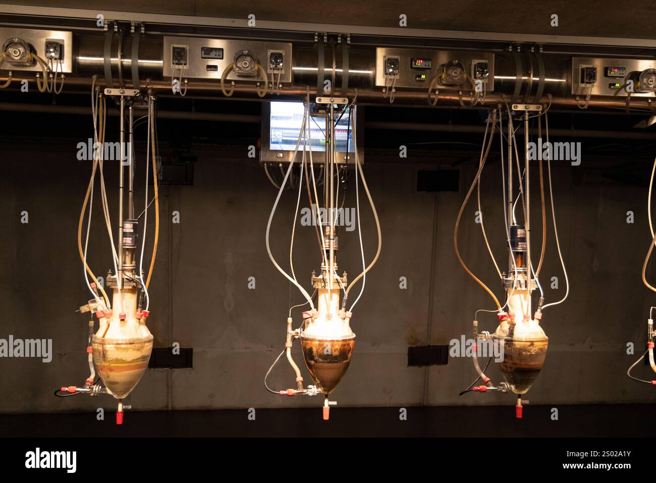 MONA Hobart, Cloaca professional or the poo machine by Belgian artist Wim Delvoye at the Museum of Old and New Art in Tasmania,Australia Stock Photo