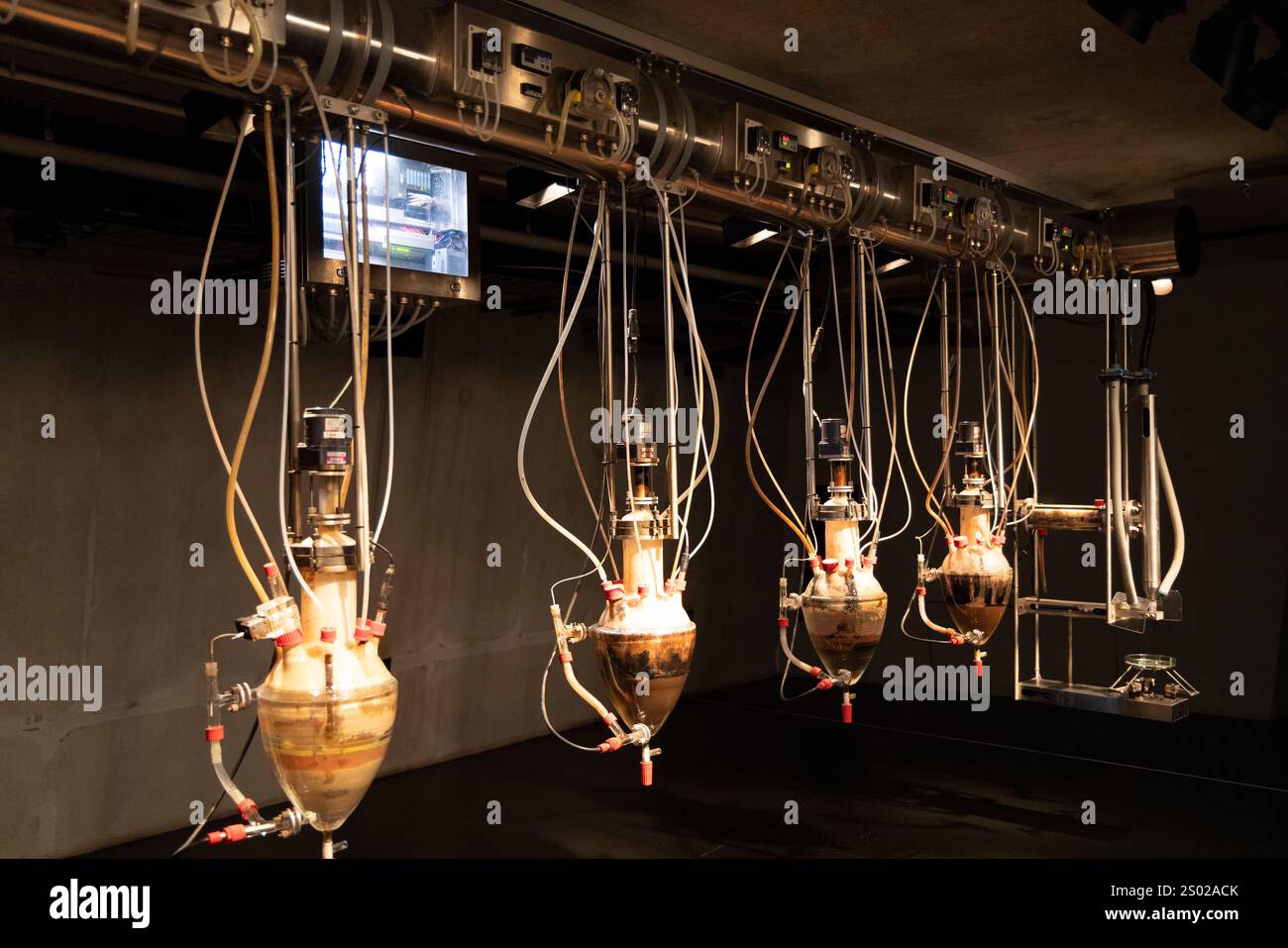 MONA Hobart, Cloaca professional or the poo machine by Belgian artist Wim Delvoye at the Museum of Old and New Art in Tasmania,Australia Stock Photo
