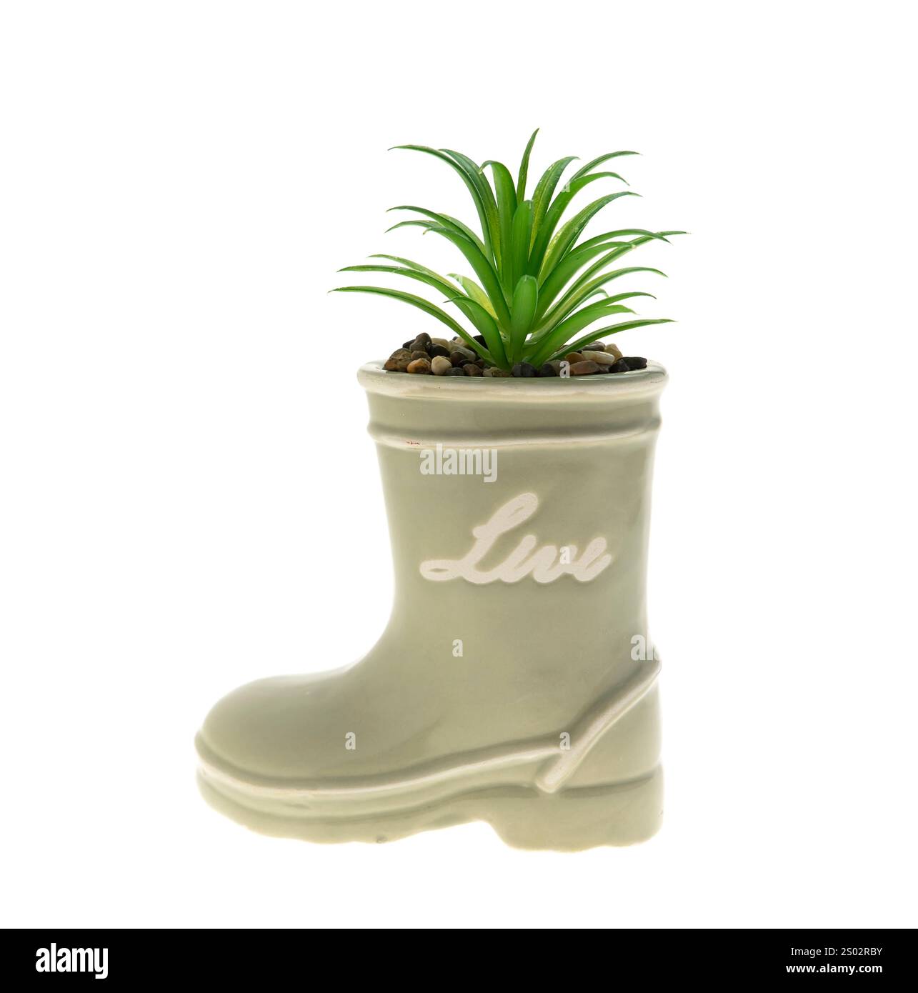 false flower pot in shape of shoe with blooming flowers Stock Photo