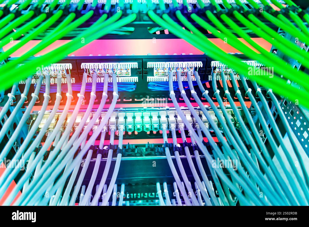 network cable connecting on network core switch close up Stock Photo ...
